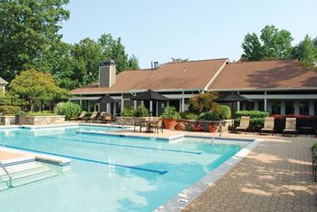 Sparkling swimming pool